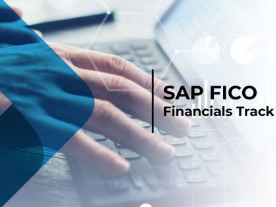 SAP FICO  Financials  Track